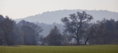 Parki i ogrody ziemi wieluńskiej - Załęczański Park Krajobrazowy - jeden z najpiękniejszych parków w Polsce, bo otulający zakole Warty - Fot. Krzysztof Gara